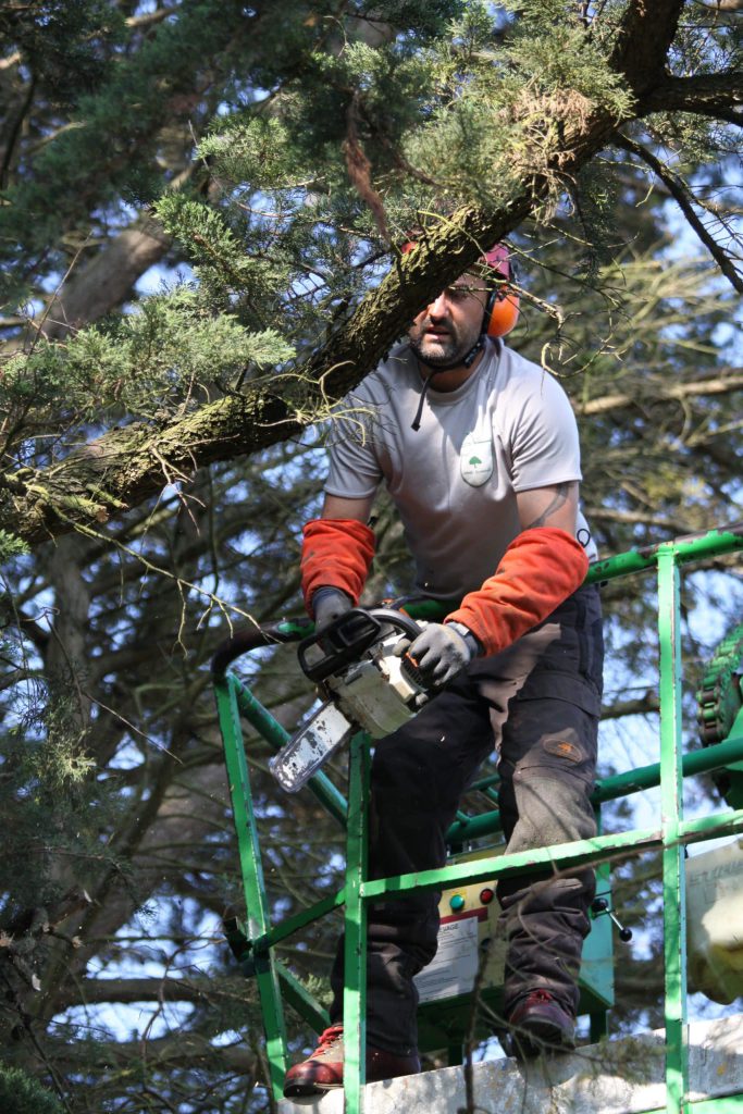 Christophe de Kerne élagage entrain de procéder à une taille d'arbre depuis une nacelle